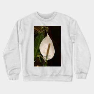 Anthurium Crewneck Sweatshirt